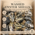 Washed Oyster Shells with Matching Cups & Lids | Multicolour | 10, 20 or 30 Pack